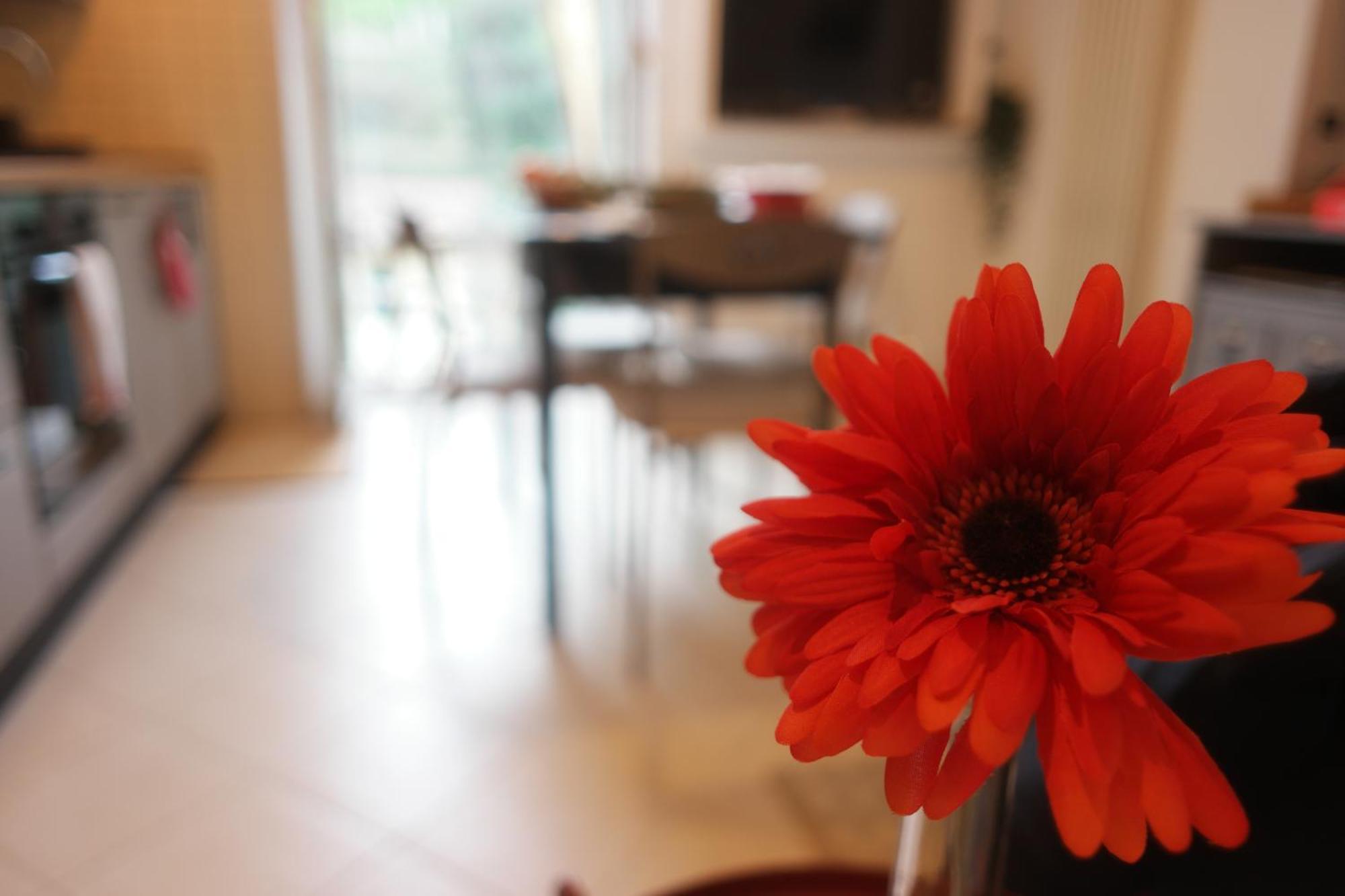 Apartament Il Nido Di Mariro La Spezia Zewnętrze zdjęcie